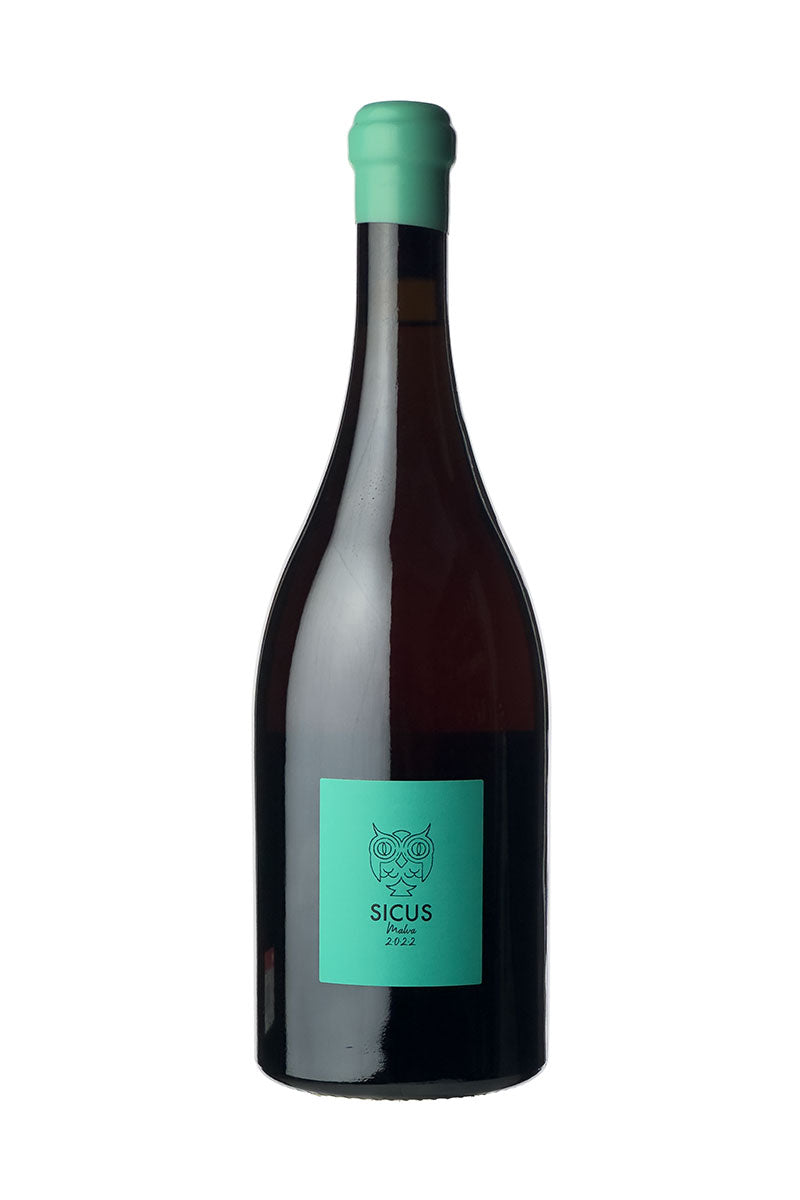 Sicus Terrers mediterranis - Malva de Sitges