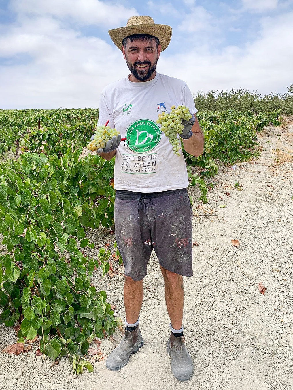 Juan Jurado - Agricola Calcárea