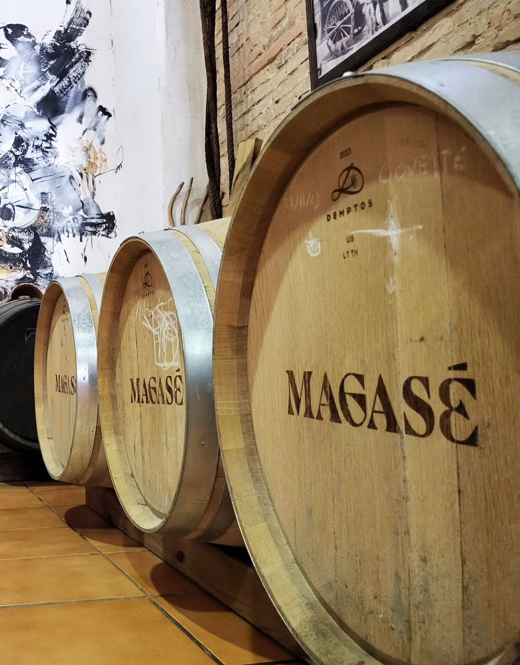 Bodegas Magasé