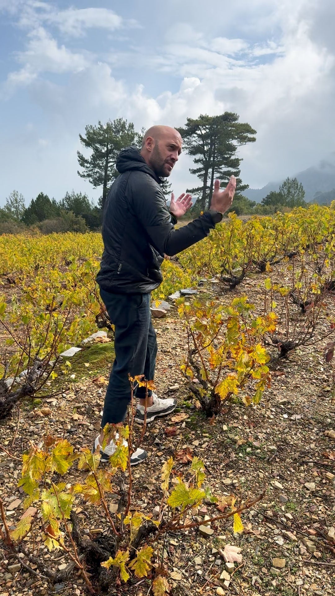 Voï vins - Jason Ligas