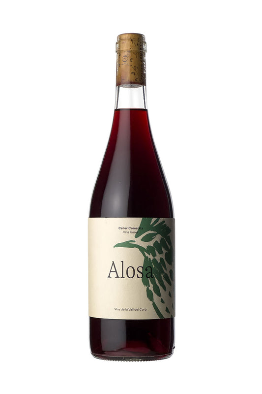 Comalats - Alosa
