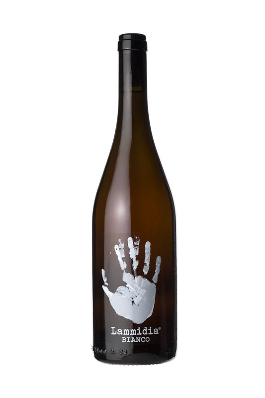 Lammidia - Bianco