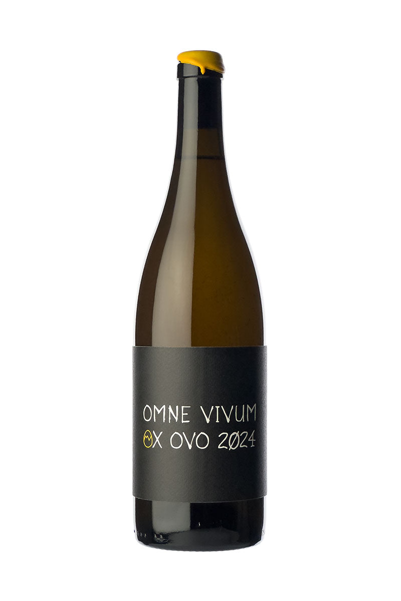 Martin Vajčner - Omne Vivum Ox Ovo