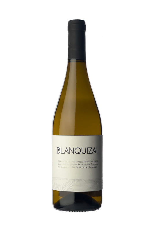 Miguel Castro - Blanquizal