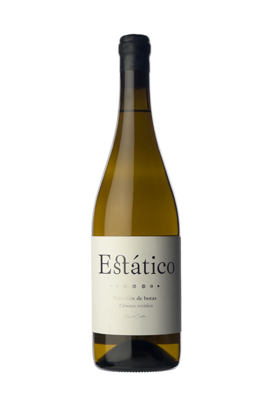 Miguel Castro - Estático