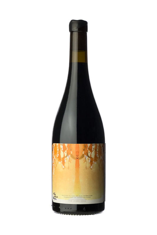 Puerta del Viento - Mencía