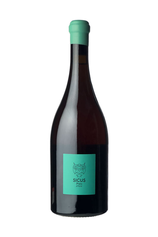 Sicus Terrers mediterranis - Malva de Sitges